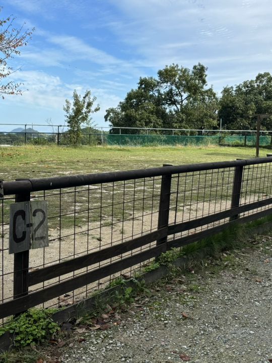 【福岡キャンプ】愛犬と泊まったり食事ができる施設