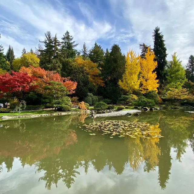 🌴大濠公園日本庭園⛳️如詩如畫🍁🌿