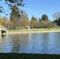 楚格湖畔的美麗公園