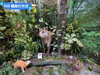 奧入瀨溪流館，奧入瀨溪散策休憩的起始入口