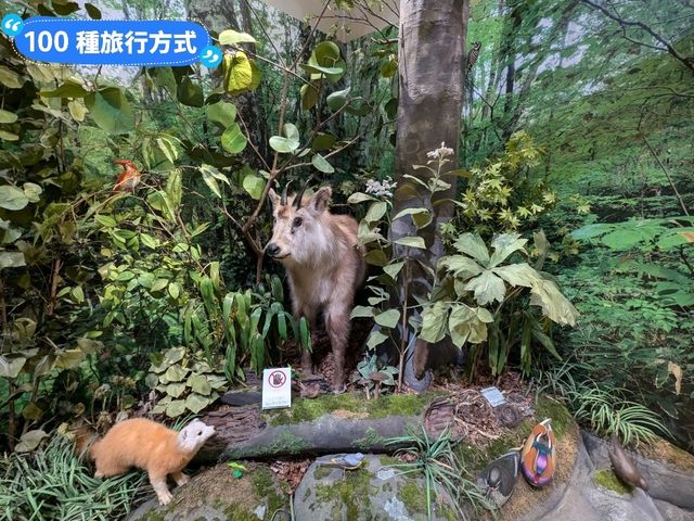 奧入瀨溪流館，奧入瀨溪散策休憩的起始入口