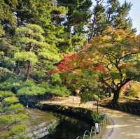 Autumn Magic: A Colorful Escape at Okayama Korakuen Garden!