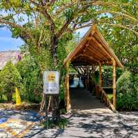 ร้านลับเมนูท้องถิ่นอัมพวา | ร้านข้าวใหม่ปลามัน 