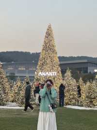 한국 부산🇰🇷 바다와 트리를 한번에 만날 수 있는 ‘빌라쥬 드 아난티🎄‘