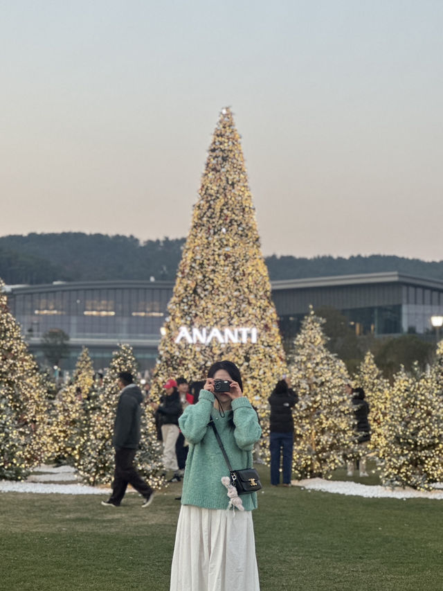한국 부산🇰🇷 바다와 트리를 한번에 만날 수 있는 ‘빌라쥬 드 아난티🎄‘
