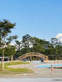 【大阪府:堺市】大人も子供も楽しめるスライダーのあるプール