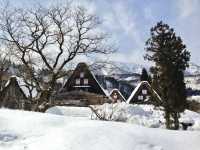 【岐阜県・白川】世界遺産 x 雪景色⛄️
