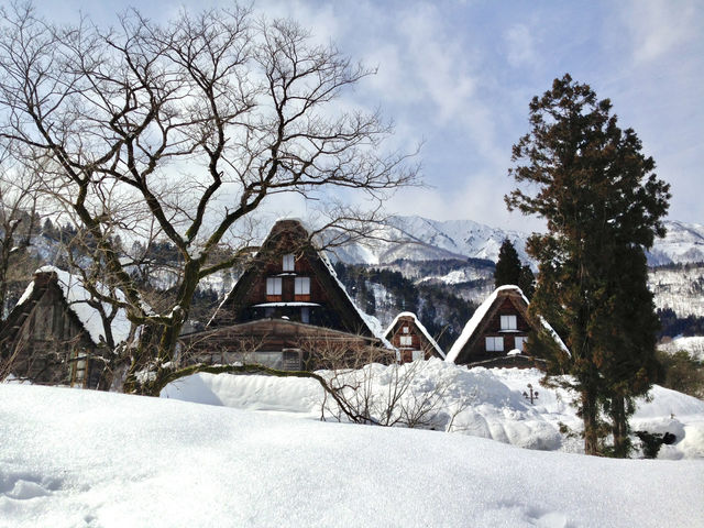 【岐阜県・白川】世界遺産 x 雪景色⛄️