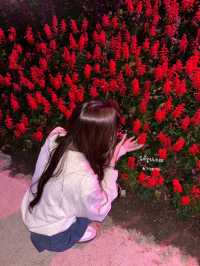 ASEAN Fl🌺wer Festival 