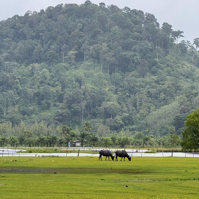 ทริประนอง กับจุดเช็คอินสุดปัง⛰️