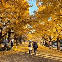 景點推薦：昭和記念公園——秋天的黃葉與自然美景