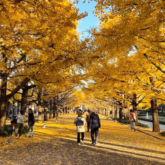 景點推薦：昭和記念公園——秋天的黃葉與自然美景