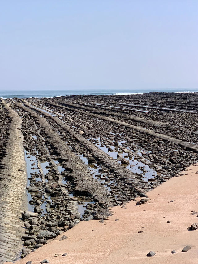 【宮崎　青島】