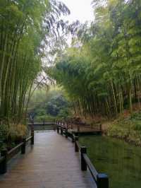 A Hidden Gem Amidst the Bamboo Seas: Yu Bamboo Seclusion (Nanshan Zhuhai Branch)