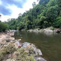 Belum Rainforest (Perak)