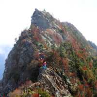 【愛媛県】西日本最高峰の霊峰！スリルと興奮とため息の石槌山紅葉登山