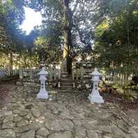 【おんせん県おおいた】美しい花手水に癒される嵐山瀧神社&三日月の滝