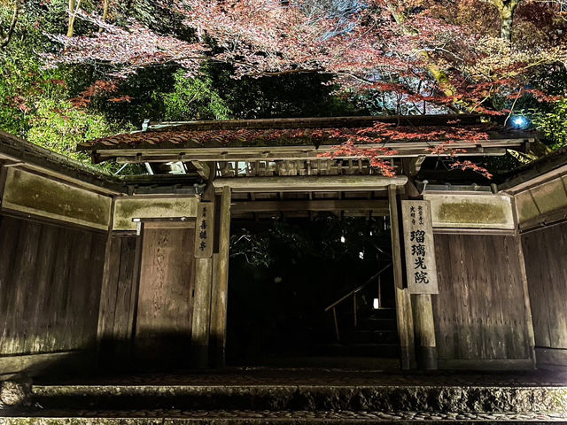 【京都】幻想的すぎるライトアップされた絶景紅葉