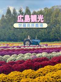 広島観光☺️🌼世羅高原農場🌸☺️四季折々の花々を楽しもう💐