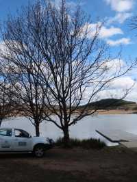 Tranquil Strolls and Stunning Lake Views at Weston Park, Canberra Australia!