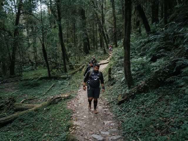 Mardi Himal