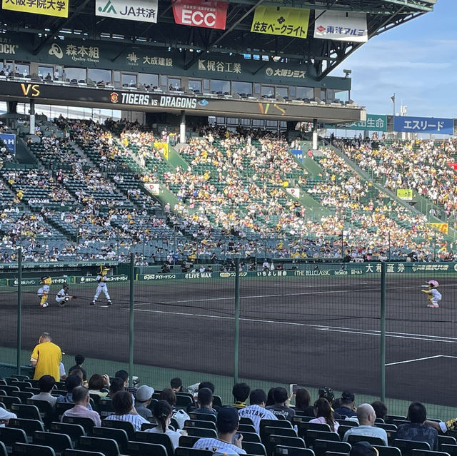 🇯🇵【兵庫県】甲子園球場(^^)高校野球！プロ野球！