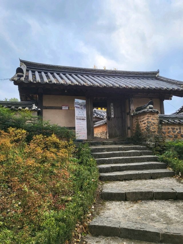 늦가을이 시작된 밀양 은행나무명소
