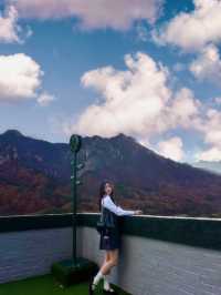 가을 설악산에 내려앉은 빨간 단풍이불 🍂🍁