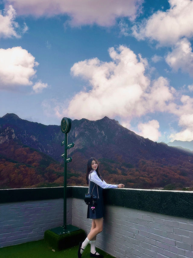가을 설악산에 내려앉은 빨간 단풍이불 🍂🍁