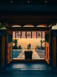 景點推薦：高良大社——欣賞日落與夜景的靜謐神社