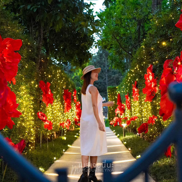 เขาใหญ่มีจัดแสดงไฟด้วยนะ สวย สนุกมาก