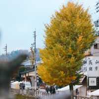Miyagawa Morning Market