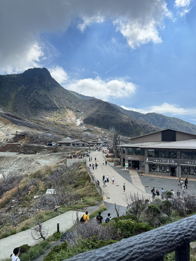 🇯🇵東京近郊⛩️箱根快閃一日遊行程