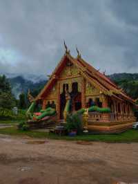 Sapan in rainy season.Nan province,Thailand