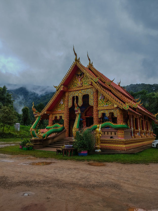 Sapan in rainy season.Nan province,Thailand
