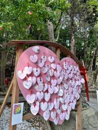 CMで話題となった光の道  3つの日本一がある神社