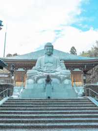【福井】猫がたくさんのお寺🐈