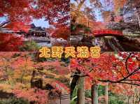 北野天滿宮-千年寺廟，壯觀楓海令人感動
