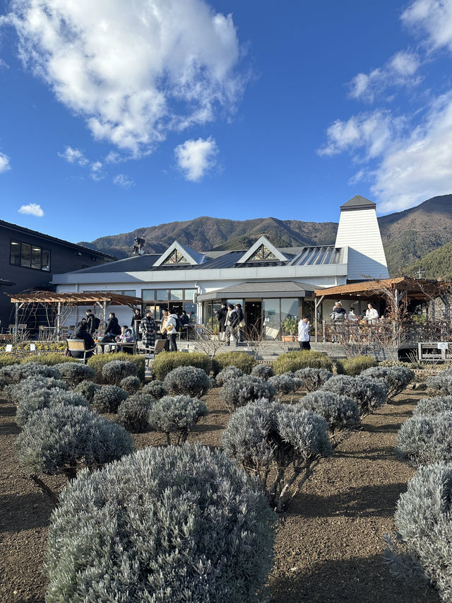 🇯🇵河口湖大石公園 🏔️睇住富士山嘆美食🍦