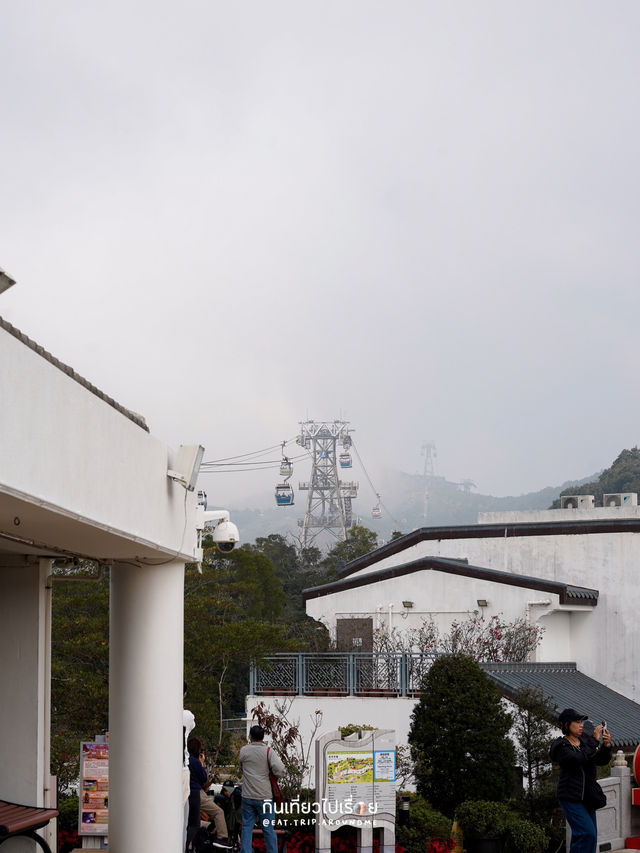 เดินถ่ายรูปที่ Ngong Ping Village 
