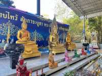 ชมพระพุทธรูปไม้แกะสลักปางไสยาสน์ วัดหนองไก่เถื่อน