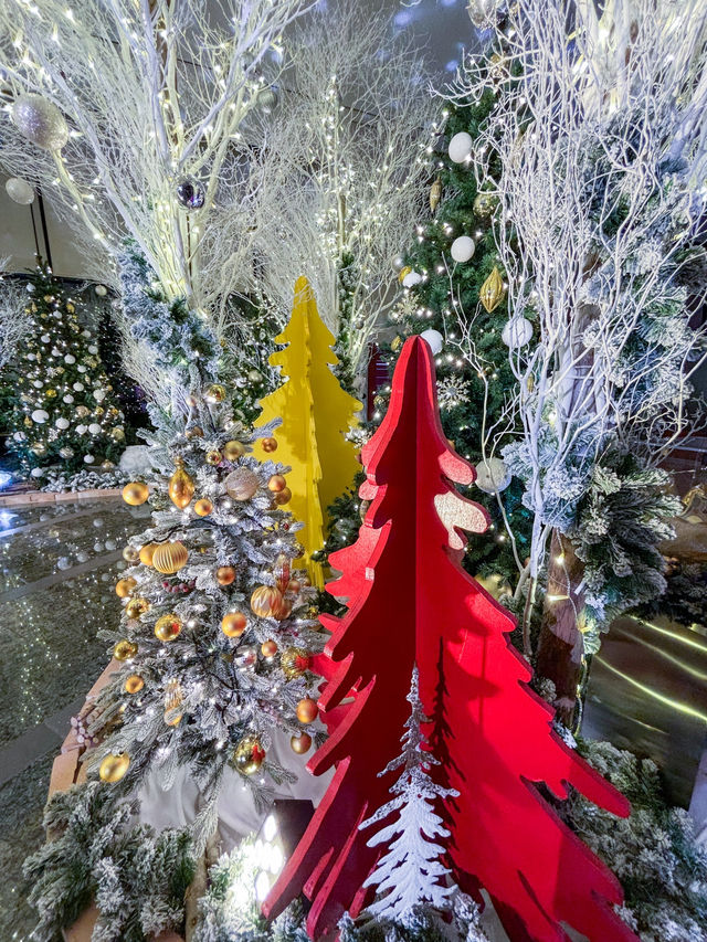 【無料で見れるイルミ！✨】グランドハイアットのイルミネーションが今年も美しすぎる！❄️🎄