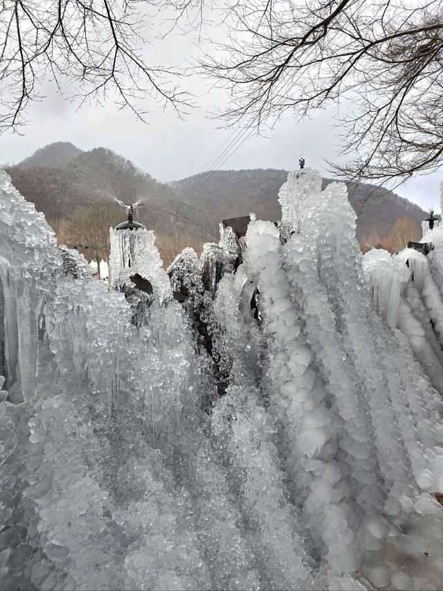 대전에서 빙벽을 볼 수 있는 곳💙