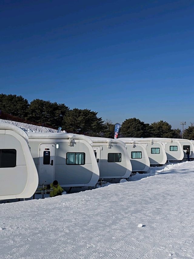 입장권 하나로 하루종일 즐기는 눈마을☃️