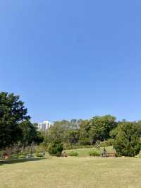 🚶‍♀️‍➡️🌸 人在花叢中｜香港賞花野餐首選海濱公園🥇🌹🌈