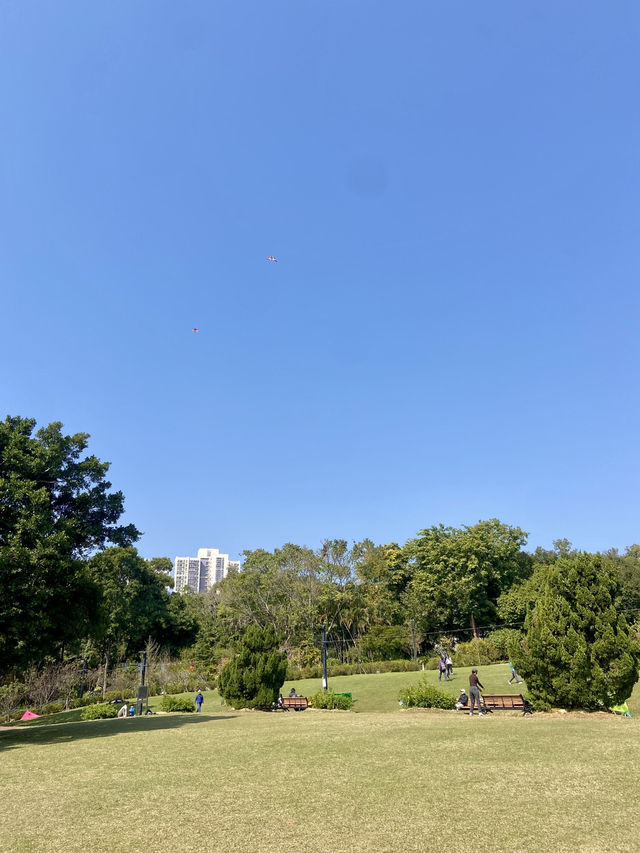 🚶‍♀️‍➡️🌸 人在花叢中｜香港賞花野餐首選海濱公園🥇🌹🌈