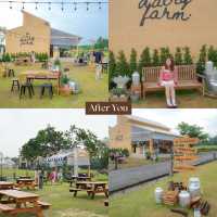 19 Cafe Hopping เขาใหญ่ ปากช่อง 