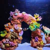 รีวิว Aquaria KLCC กัวลาลัมเปอร์