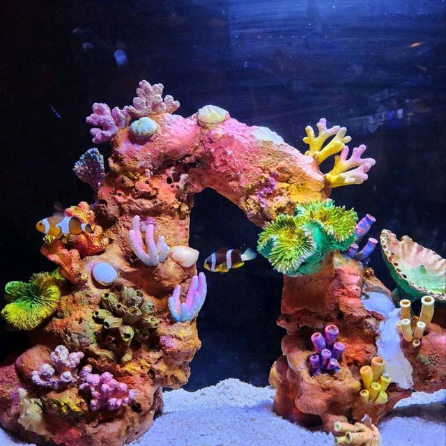 รีวิว Aquaria KLCC กัวลาลัมเปอร์