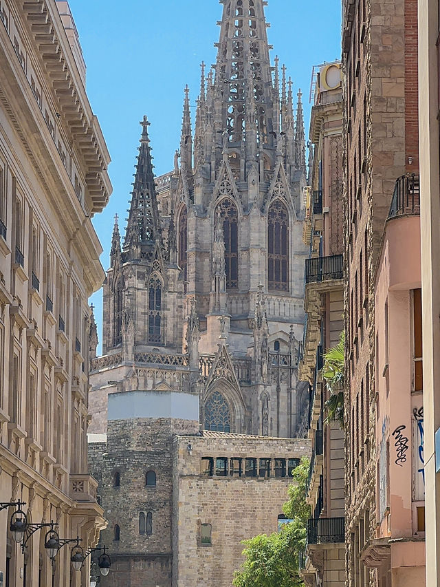 🇪🇸바르셀로나만 3번째인 여행자가 추천하는 바르셀로나 여행🇪🇸 